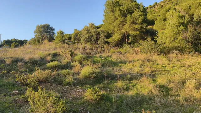 Parcela 890m² en venta - Riviera del sol — 6