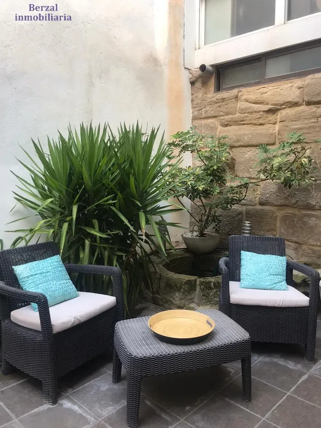 Vivienda SINGULAR en el centro de Logroño.Planta baja, más dos. Terraza de sesenta metros y jardin con pozo. — 33