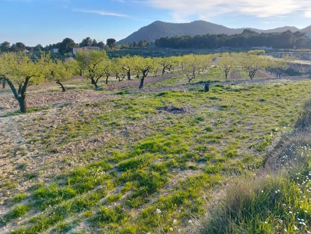 Terreno en venta en Masets, n52 TORREMANZANAS - foto 3