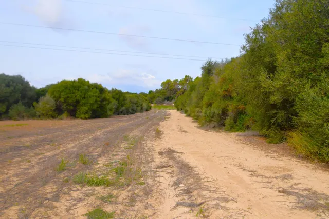 Finca rústica con proyecto básico para la construcción de un - foto 3