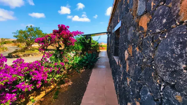 Finca de Lujo con Viñedo, Bodega Subterránea y Vistas Panorámicas al Atlántico — Fuerteventura — 46