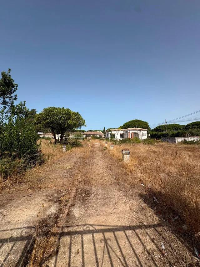 GRAN TERRENO EN LA ZONA DE LA RANA VERDE CON VIVIENDA PARA R - foto 4