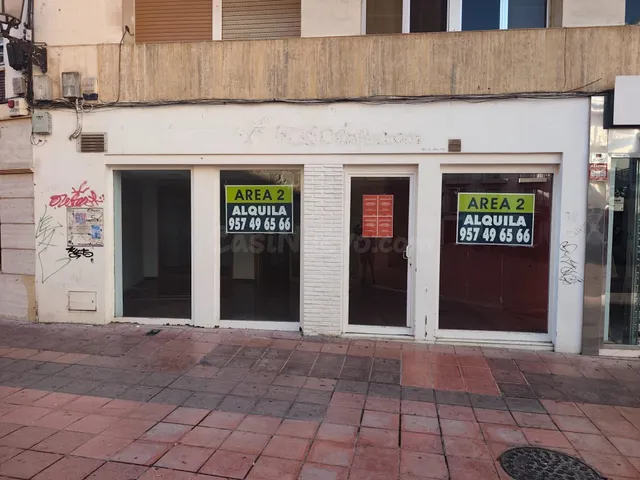 Local comercial en Plaza de San Miguel - foto 2