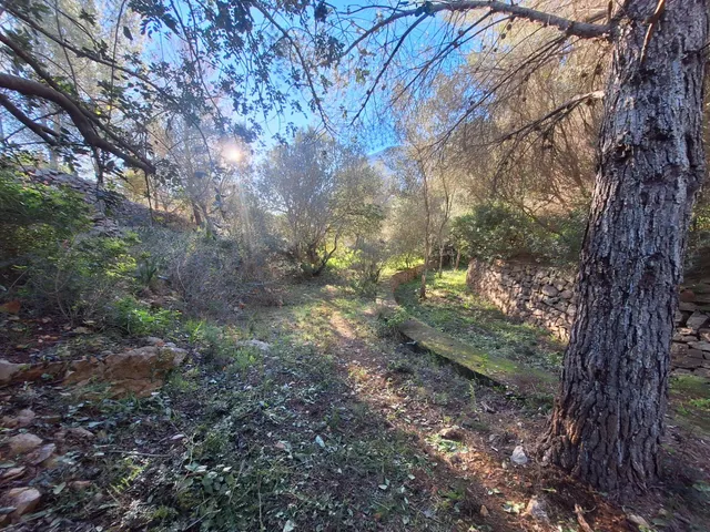 Terreno en venta cerca del Montgó — 32