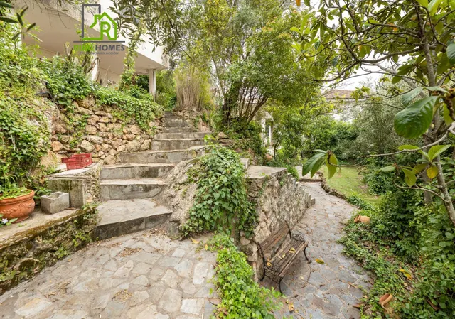 Chalet con gran parcela en Cogollos — 4