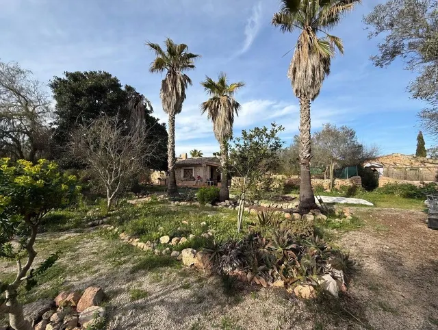 Finca rústica con encanto en Llucmajor — 19