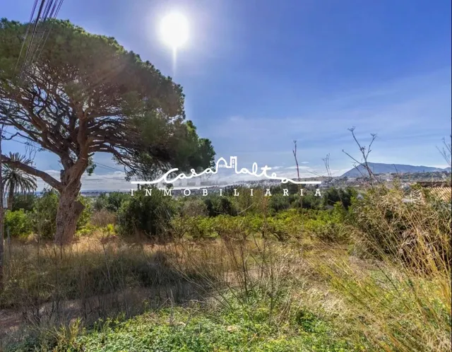 TERRENO EN VENTA EN ALTEA , EL PÍ DEL SENYORET - foto 3