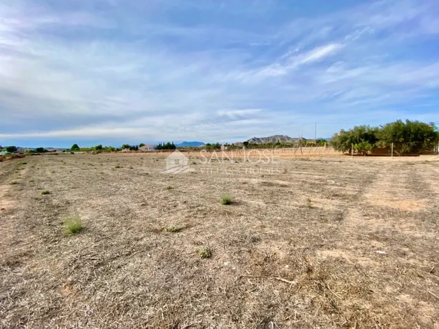 VENTA DE PARCELA EN ASPE EN LA ZONA PARAJE DE LA HORNA - foto 4