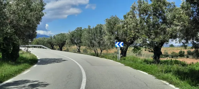 TERRENO URBANO EN SANT JOAN DE SAMORA - foto 5