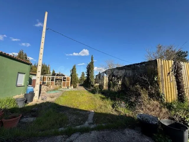 FINCA CON POZO, CONTRUCCIONES Y VIVERO EN LA RECTA DE CORESE - foto 3