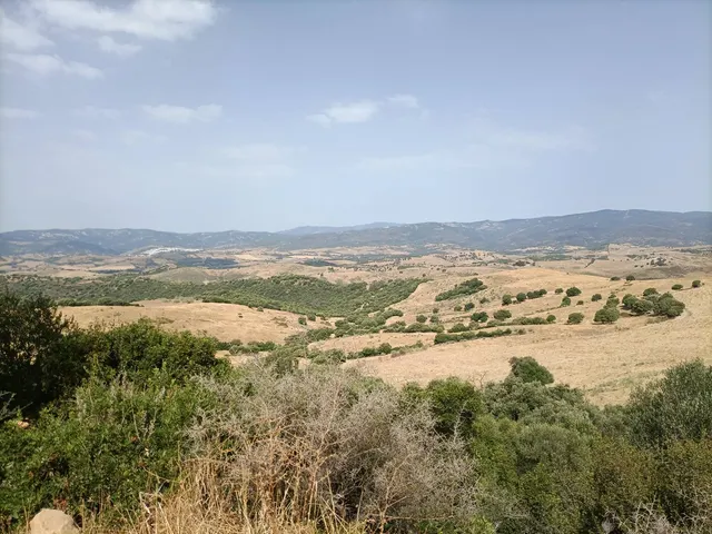 Finca Agrícola 800m² en venta - Riviera del sol — 9