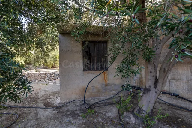 ¡Oportunidad única! Dos Fincas rústicas de mas de 15.000 m2  - foto 2