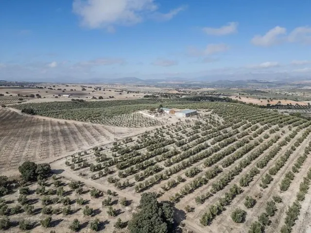 IMPRESIONANTE OPORTUNIDAD DE INVERSIÓN EN ALAMEDILLA!! — 4