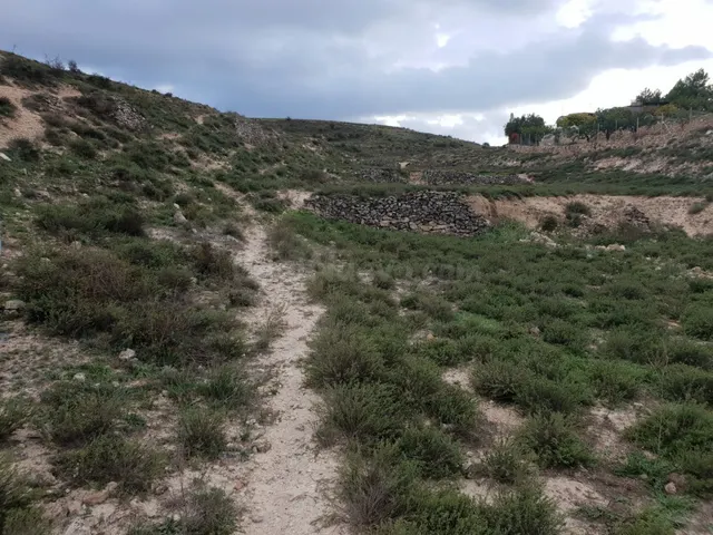 TERRENO RÚSTICO DE 6400 M2, EN PARTIDA DE LA MUELA. - foto 2