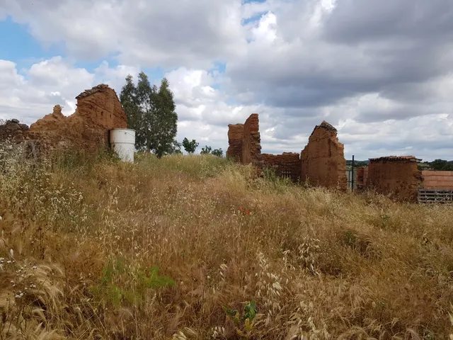 PARCELA RÚSTICA DE 2357 M2 A LA VENTA — 4