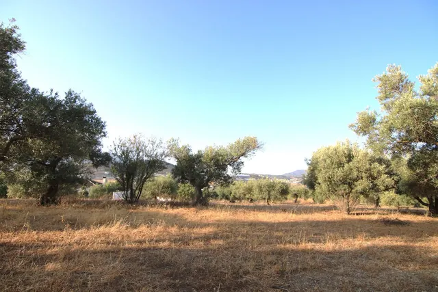 Parcela en venta - South of spain — 5
