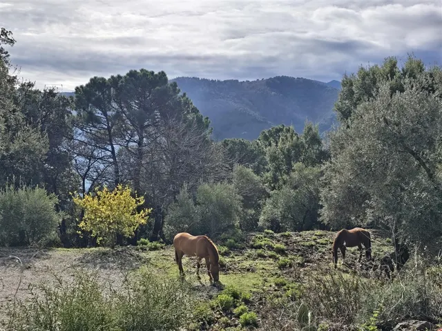 Casa-Chalet en Venta en Jubrique Málaga — 25