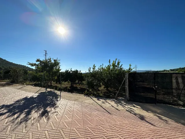 Parcela en la Huerta Abajo, el Planell, de 992 m2 hoy huerta