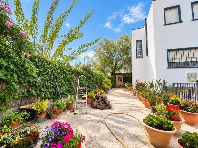 ¡Vendo Chalet en la Huerta de Orihuela Ciudad! — 10