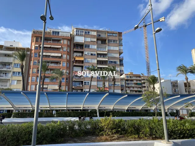 PRIMERA LÍNEA DE PLAYA FRENTE CLUB NÁUTICO EN TORREVIEJA. - foto 5