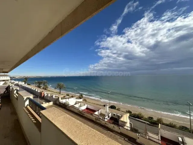 Apartamento 3 habitaciones 96m² en venta - Mil Palmeras — 5