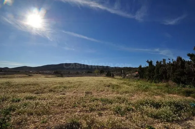 Parcela en venta en Monóvar, Comunidad Valenciana - foto 3