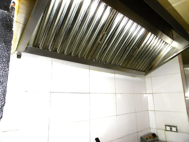 SOLAR CON LOCAL COMERCIAL EN PLANTA BAJA ACTUALMENTE CON NEGOCIO DE BAR — 29