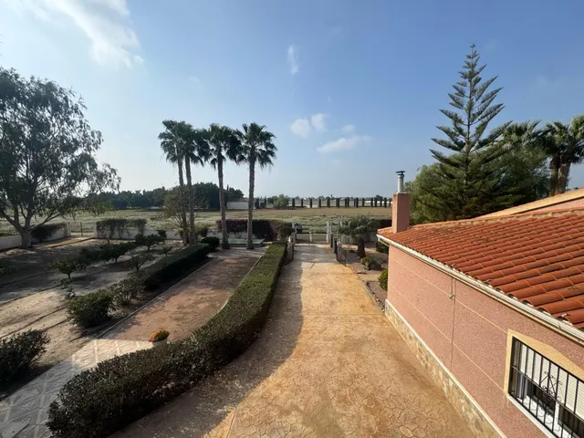 FINCA LAS BRISAS EN DAYA VIEJA — 36