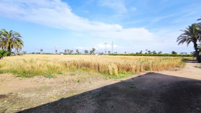 SE VENDE CASA DE CAMPO CON 42.000 M2 DE PARCELA. — 18
