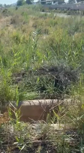Terreno rustico en Daimés - foto 4
