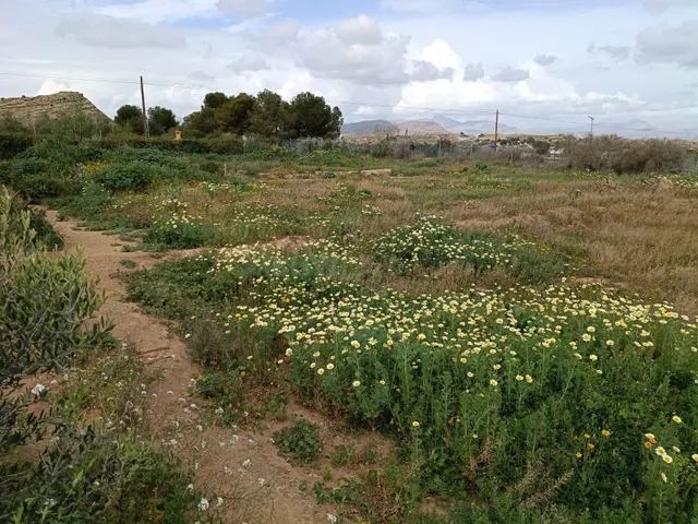 TERRENO RURAL EN SANTA ANA CON AGUA POTABLE. - foto 2