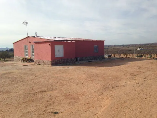Chalet con terreno plantado — 2