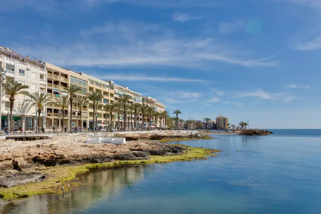 Apartamento de 3 dormitorios 1 baño 1 aseo en Torrevieja (playa del cura) — 30