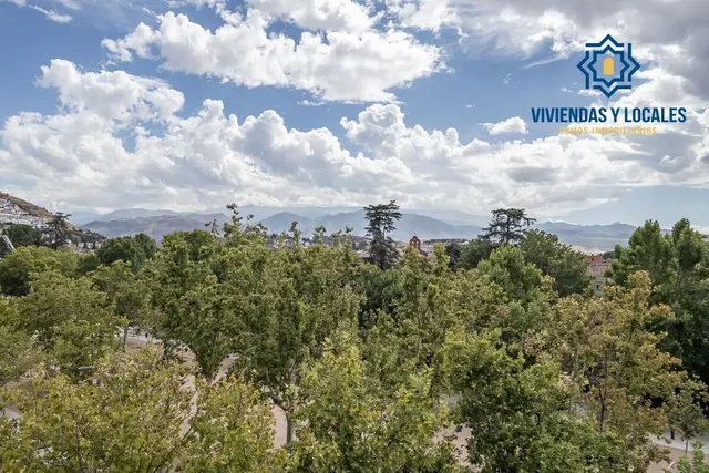 Pisazo en paseo del salón - Granada — 3