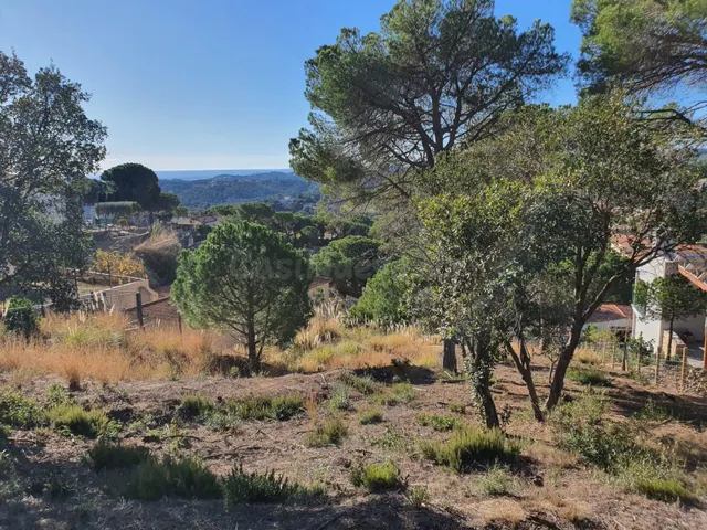 Terreno en venta en la urbanización Los Pinares con vista al - foto 3