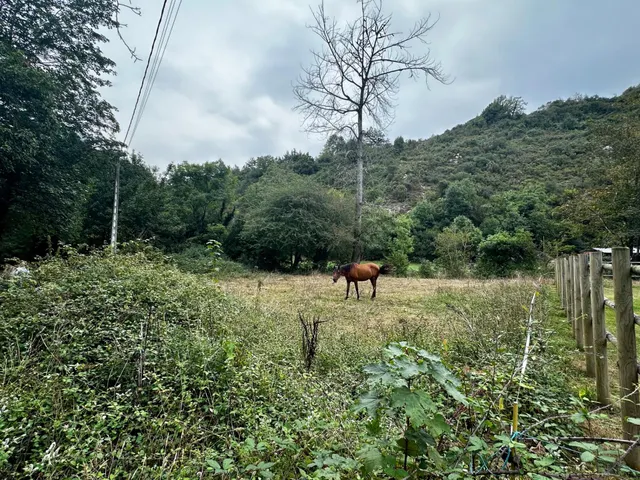 FINCA EDIFICABLE A 10 KM DE LA PLAYA — 13