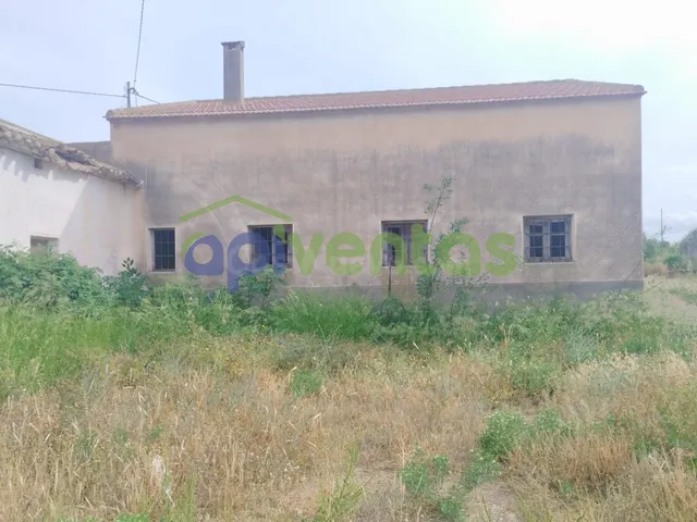 Finca de regadío con viviendas - foto 3