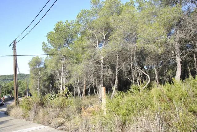 Parcela Rústica en el municipio de Cubelles, 5.560 mts2 Corral d'en Cona — 9