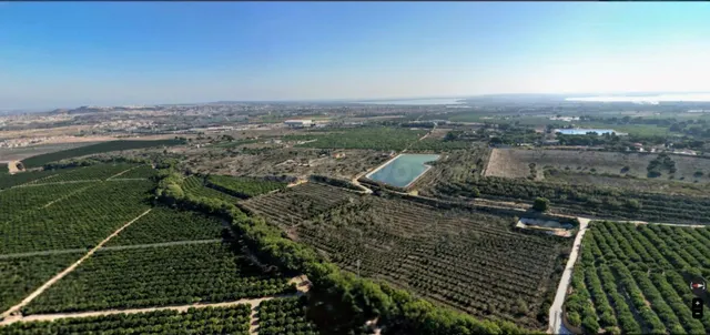 Doble Oportunidad: Finca con permisos para 2 MW Solares Foto - foto 3
