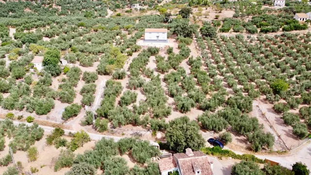 Encantadora casa de campo a los pies de El Torcal de Anteque - foto 3