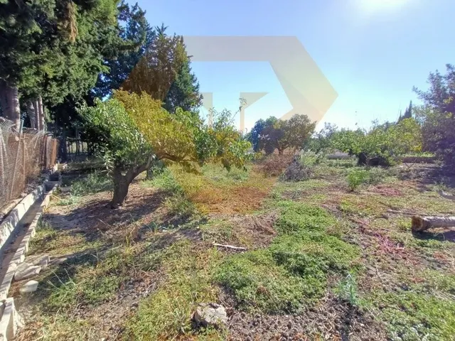 SE VENDE NAVE Y CASA CON PARCELA PARA REFORMAR O DERRIBAR EN - foto 3