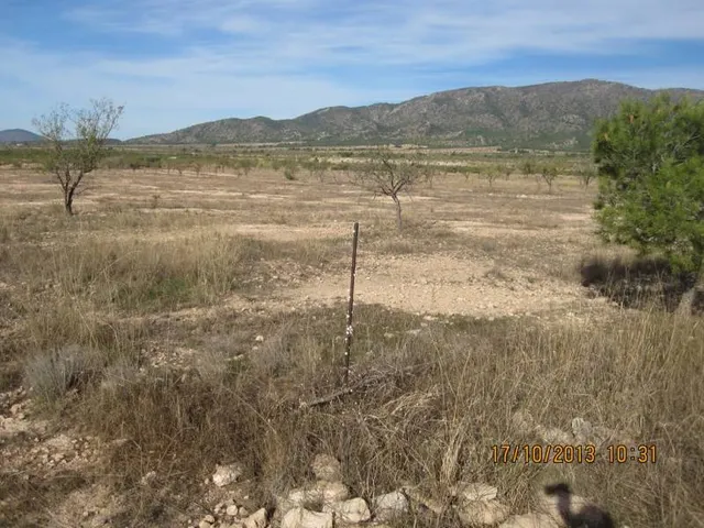 TERRENO DE 9000 METROS EN LA HERETAT — 3