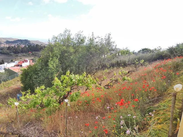 Terreno urbanizable en venta en Bandama, Las Arenillas, Sant - foto 5