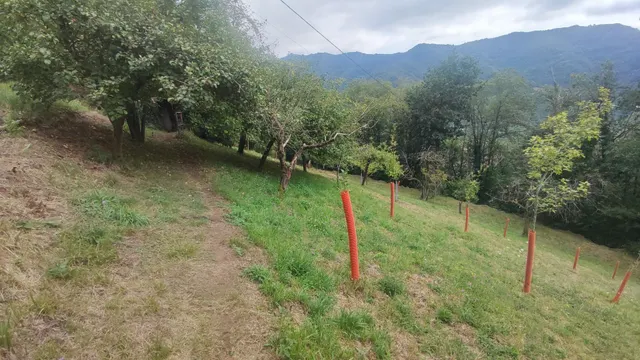CASA EN MISIEGO VALLE DE TURON — 25