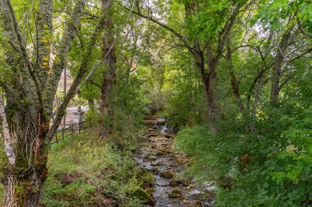 Casa, cuadra, pajar y fincas en venta en babia — 30
