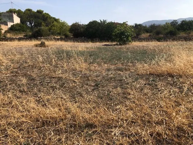 Parcela en venta - Calpe - foto 2