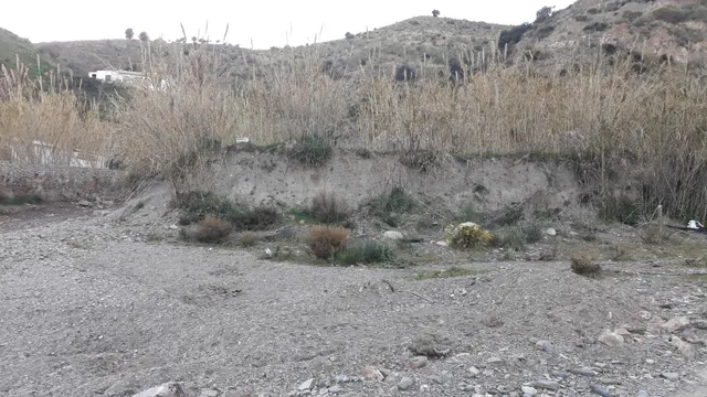 Terreno urbano en venta - Pataura - foto 2