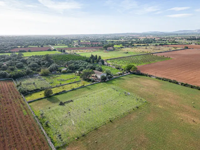 Magnifica finca rústica en la zona de Porreres. - foto 4
