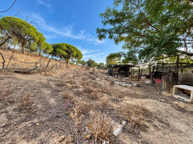 Finca rústica de 18.444 m2 con pozo y construcción catastrada en Alcalá de los Gazule — 18