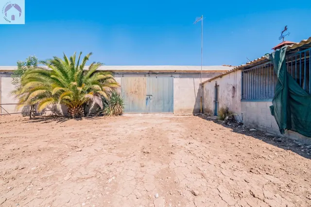 Finca en Atarfe con dos naves y cobertizo — 23